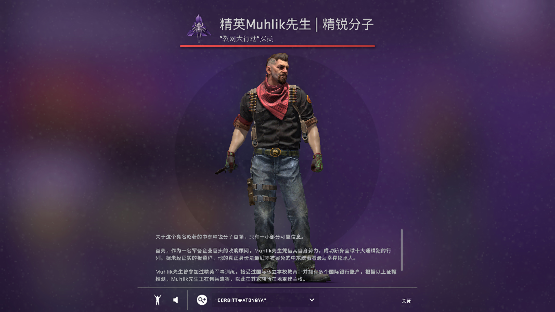 csgo探员皮肤每个地图都可以用吗(csgo探员皮肤哪个好用)？