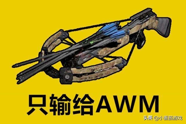 和平精英单发伤害武器排行(武器单点威力子弹伤害最高的枪)