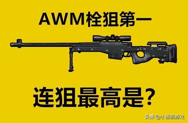 和平精英单发伤害武器排行(武器单点威力子弹伤害最高的枪)
