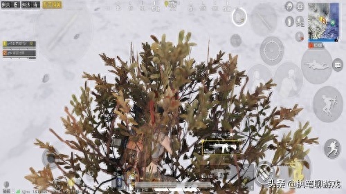 和平精英特斯拉贴膜怎么用(和平精英贴膜使用教程)