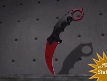csgo皮肤价格表在哪看(csgo皮肤价格表最贵)？
