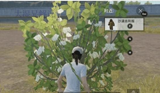 和平精英吉利服在哪里,吉利服刷新点(训练场)