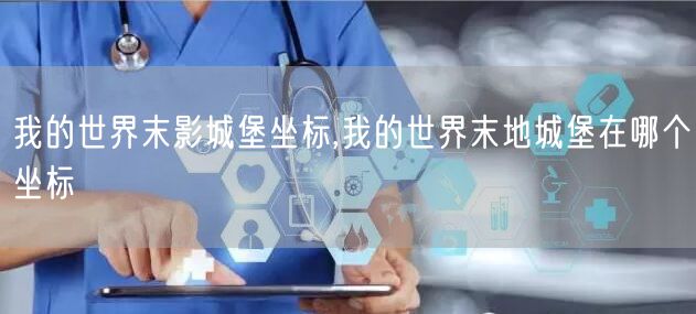 我的世界末影城堡坐标,我的世界末地城堡在哪个坐标