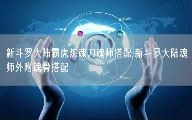 新斗罗大陆霸虎炼魂刀魂师搭配,新斗罗大陆魂师外附魂骨搭配