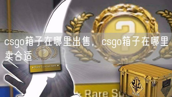 csgo箱子在哪里出售，csgo箱子在哪里卖合适