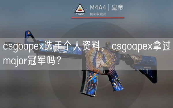 csgoapex选手个人资料，csgoapex拿过major冠军吗？