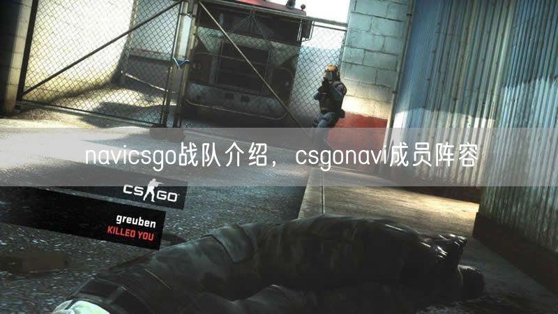 navicsgo战队介绍，csgonavi成员阵容
