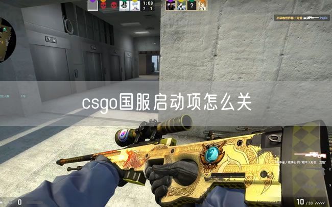 csgo国服启动项怎么关
