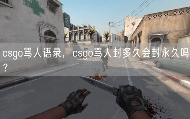 csgo骂人语录，csgo骂人封多久会封永久吗？