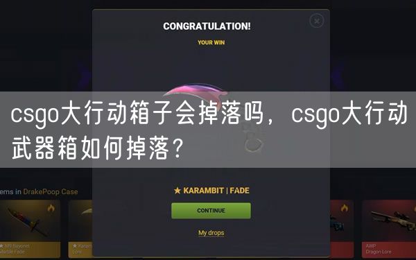 csgo大行动箱子会掉落吗，csgo大行动武器箱如何掉落？