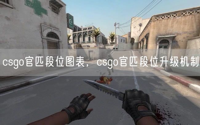 csgo官匹段位图表,csgo官匹段位升级机制