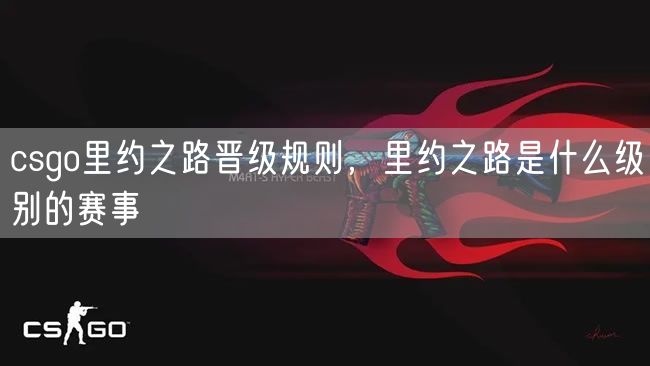 csgo里约之路晋级规则,里约之路是什么级别的赛事?