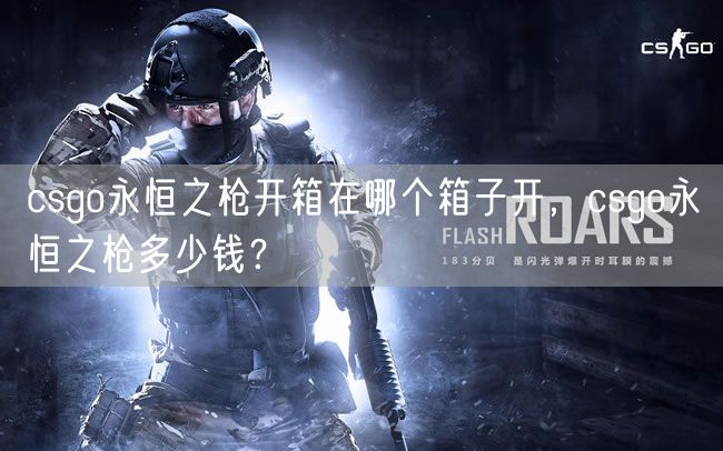 csgo永恒之枪开箱在哪个箱子开,csgo永恒之枪多少钱?