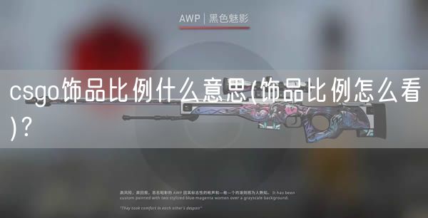 csgo饰品比例什么意思(饰品比例怎么看)？