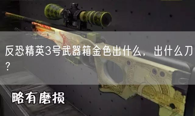 反恐精英3号武器箱金色出什么,出什么刀?