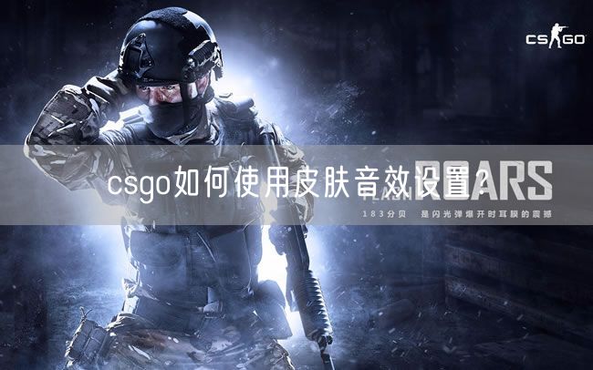 csgo如何使用皮肤音效设置？
