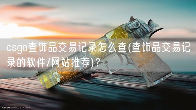 csgo查饰品交易记录怎么查(查饰品交易记录的软件/网站推荐)？
