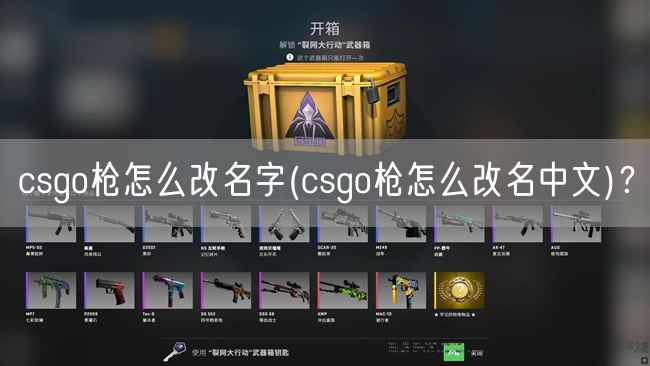 csgo枪怎么改名字(csgo枪怎么改名中文)？