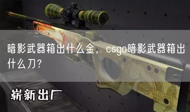 暗影武器箱出什么金,csgo暗影武器箱出什么刀?