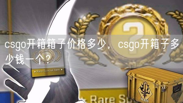 csgo开箱箱子价格多少，csgo开箱子多少钱一个？