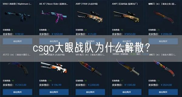csgo大眼战队为什么解散？