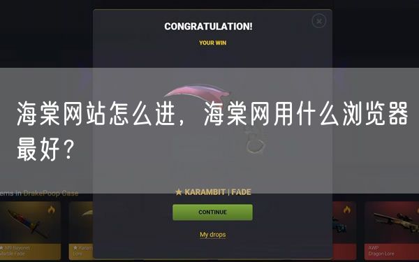 海棠网站怎么进,海棠网用什么浏览器最好?