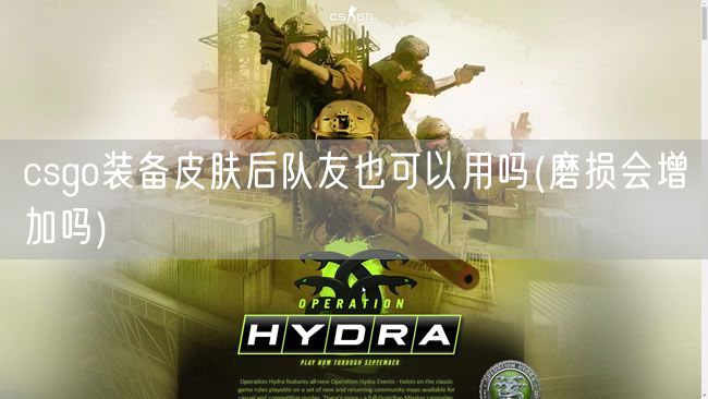 csgo装备皮肤后队友也可以用吗(磨损会增加吗)
