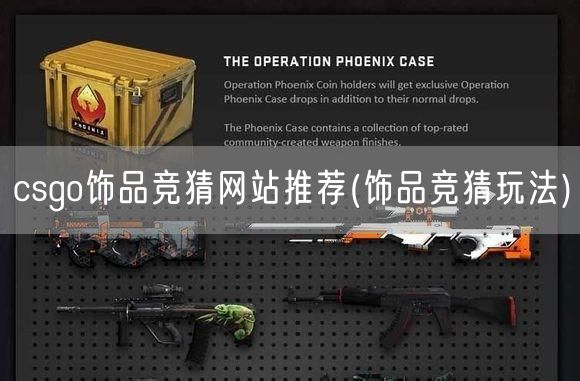 csgo饰品竞猜网站推荐(饰品竞猜玩法)