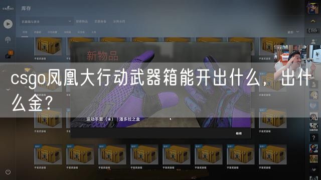 csgo凤凰大行动武器箱能开出什么,出什么金?
