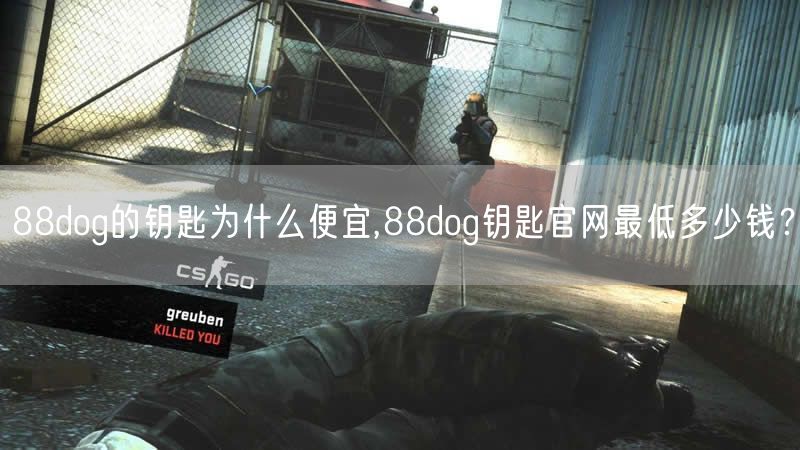 88dog的钥匙为什么便宜,88dog钥匙官网最低多少钱？