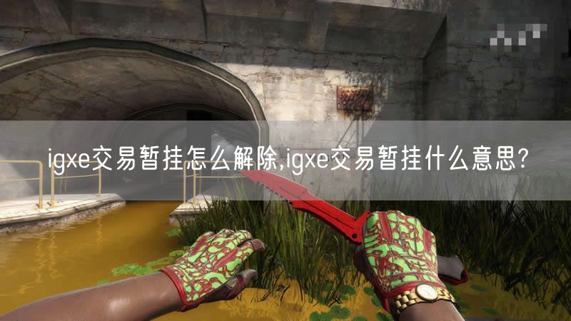 igxe交易暂挂怎么解除,igxe交易暂挂什么意思?