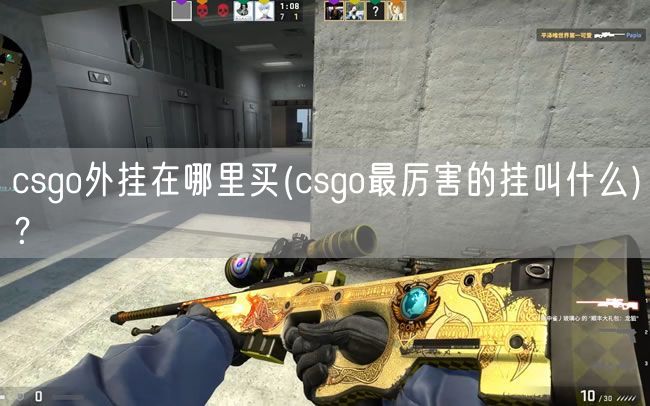 csgo外挂在哪里买(csgo最厉害的挂叫什么)?