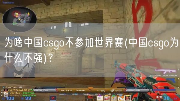 为啥中国csgo不参加世界赛(中国csgo为什么不强)?