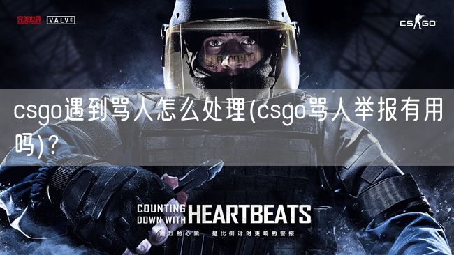 csgo遇到骂人怎么处理(csgo骂人举报有用吗)?