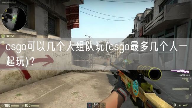 csgo可以几个人组队玩(csgo最多几个人一起玩)？