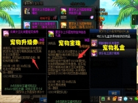 dnf宠物升级怎么样快,dnf宠物升级券有什么用?