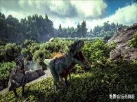 方舟生物代码大全,方舟生物代码直接驯服指令
