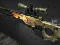 csgo传说皮肤英文名(csgo传说皮肤适合什么改名)?