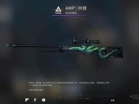 csgo蛇狙多少钱,叫什么,吃磨损吗?
