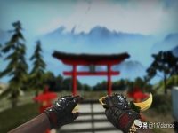 csgo血猎手套多少钱(csgo血猎手套推荐)？