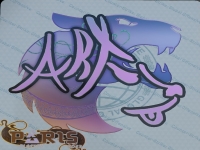 csgoropz贴纸多少钱, csgoropz灵敏度